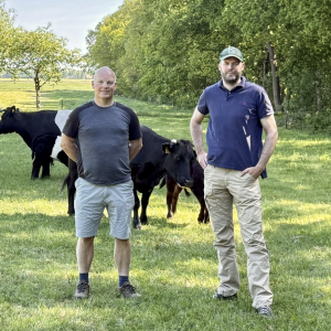 Screenshot 2025-05-27 at 11.09.04