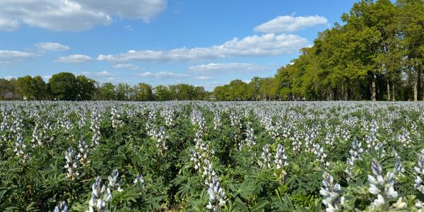 WhatsApp Image 2025-04-28 at 12.11.15