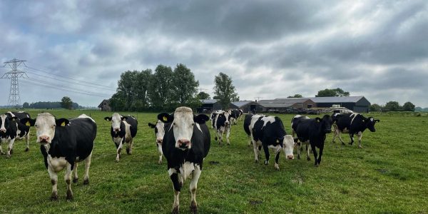 WhatsApp Image 2025-06-02 at 10.15.55