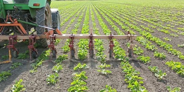 WhatsApp Image 2025-06-12 at 15.12.44